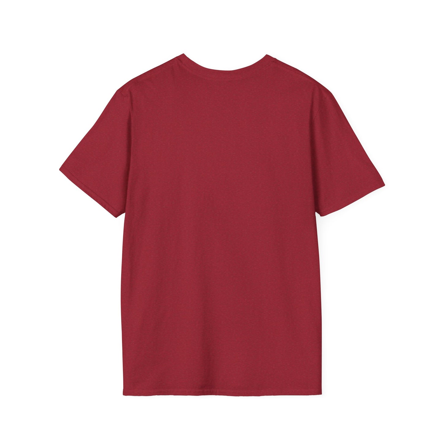 Witty T-Shirt for Holidays & Gifts
