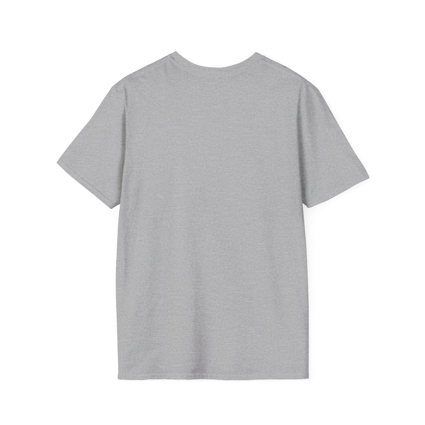 Witty T-Shirt for Holidays & Gifts