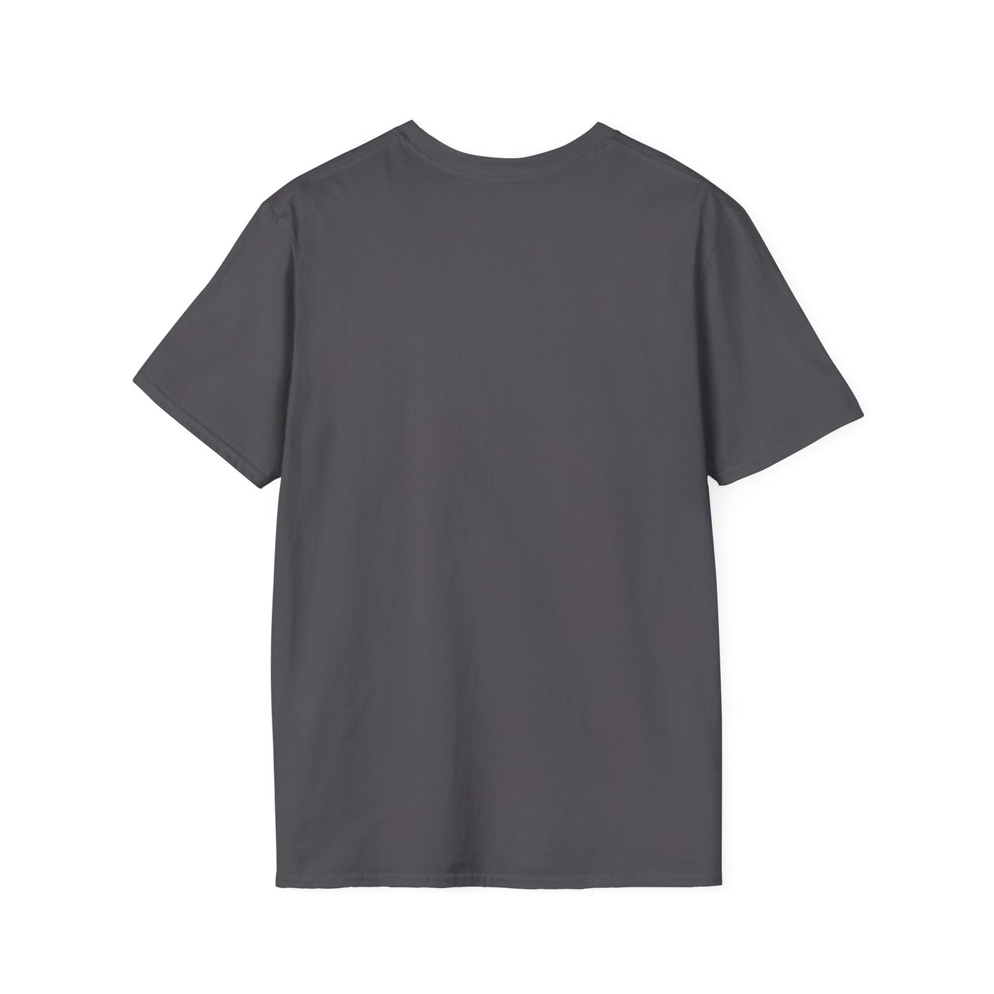 Witty T-Shirt for Holidays & Gifts